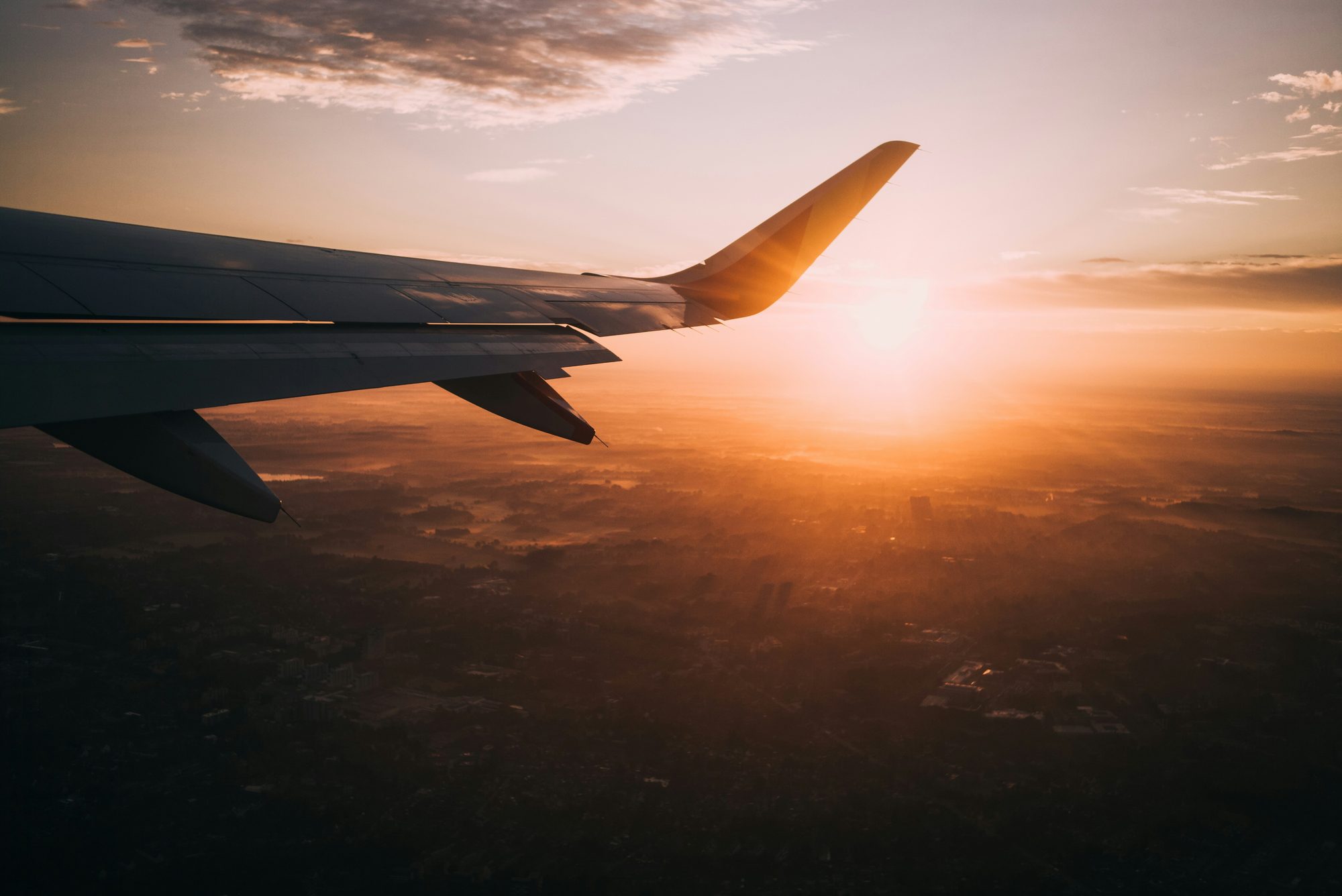 Flyvinge over et landskab ved solnedgang